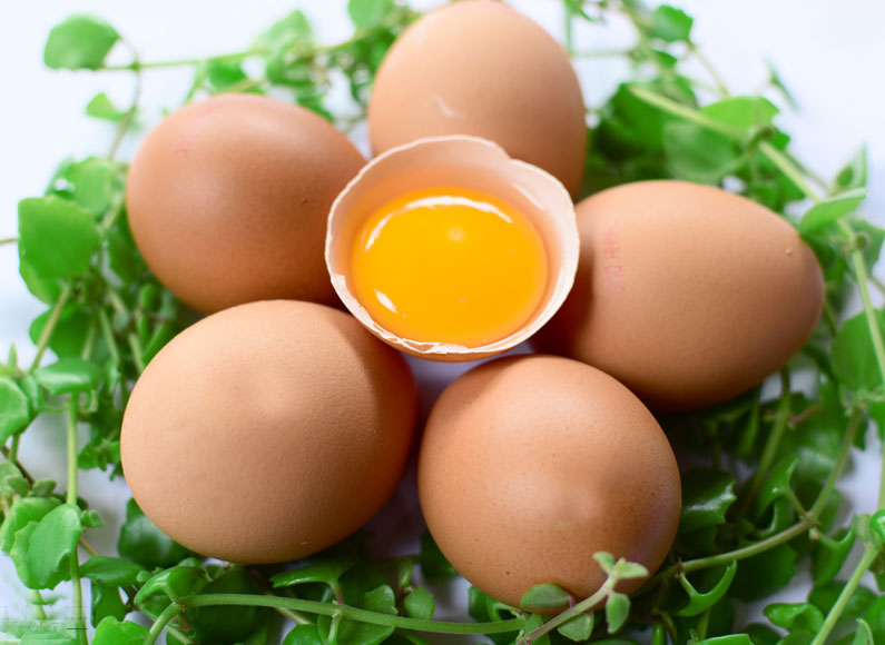 Cho trẻ ăn các món ăn từ trứng
